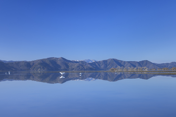 Shiga Prefecture Shira heron, Lake Biwa and blue sky