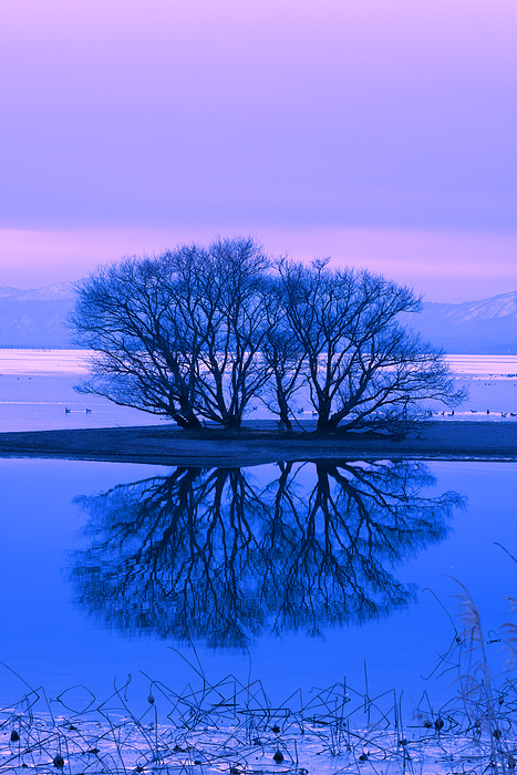 Evening view of Lake Biwa, Shiga Prefecture