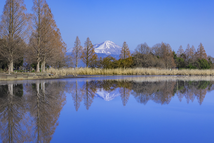 Reflection of snowy Mt. Ibuki and trees, Shiga