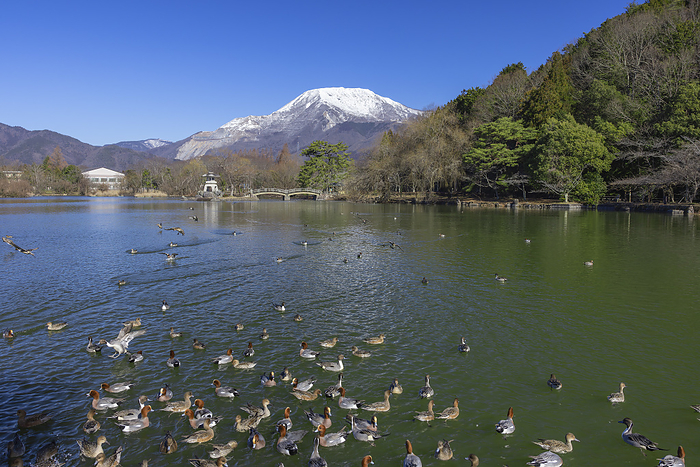 Mishima Pond and snowy Mt.
