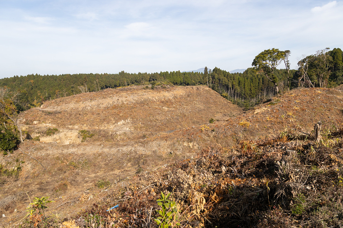 Bald mountainside where trees have been cut down