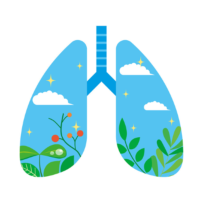 Illustration of clean lungs