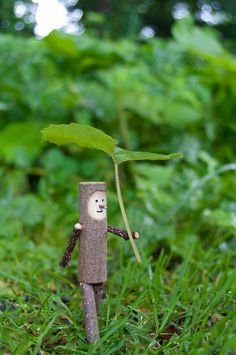 Walking on a rainy day, a little tree fairy, walking with a butterbur leaf umbrella (photo of a wooden doll I made)