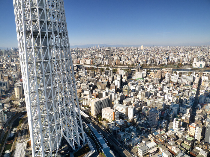 Tokyo Sky Tree and Sumida City