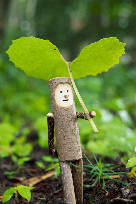 Walking on a rainy day, a little tree fairy, walking with an umbrella of butterbur leaves (photo of a doll I made)