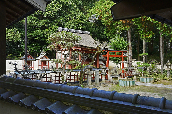 Unatari za Takamikami Shrine Nara City, Nara Prefecture Toin garden adjacent old shrine Unatari za Takamikoto Shrine Main hall
