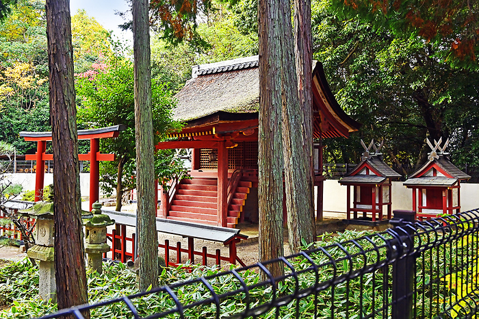 Unatari za Takamikami Shrine Nara City, Nara Prefecture Toin garden adjacent old shrine Unatari za Takamikoto Shrine Main hall