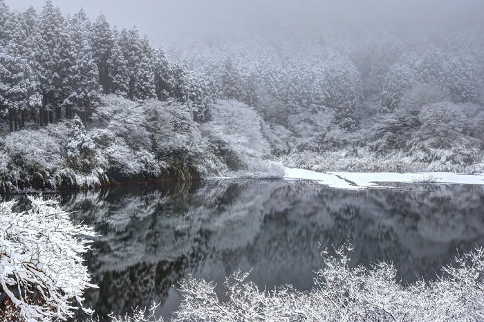 Snowy Otamagaike Pond