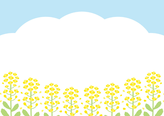 Clip art of spring scenery of rape blossoms and blue sky