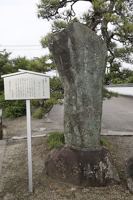 No. 48 Seirinji Temple, Shiki s Poem Monument 88 sacred places in Shikoku