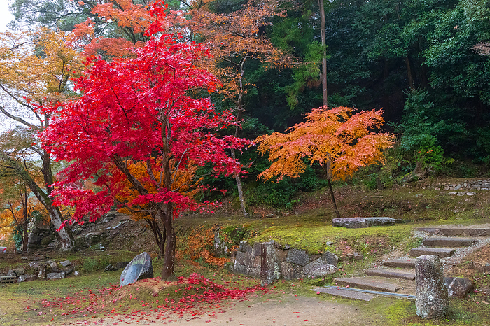 Shorakuji Temple, Nara Prefecture, Autumn Leaves Near the Amida Sanzon Stone Buddha and the Otsu no Miko Poetic Monument