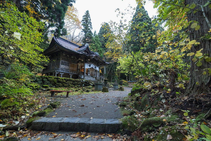 Towada Shrine and autumn leaves surrounded by forest on the shore of Lake Towada in Okuse-Towada, Towada City, Aomori, Japan