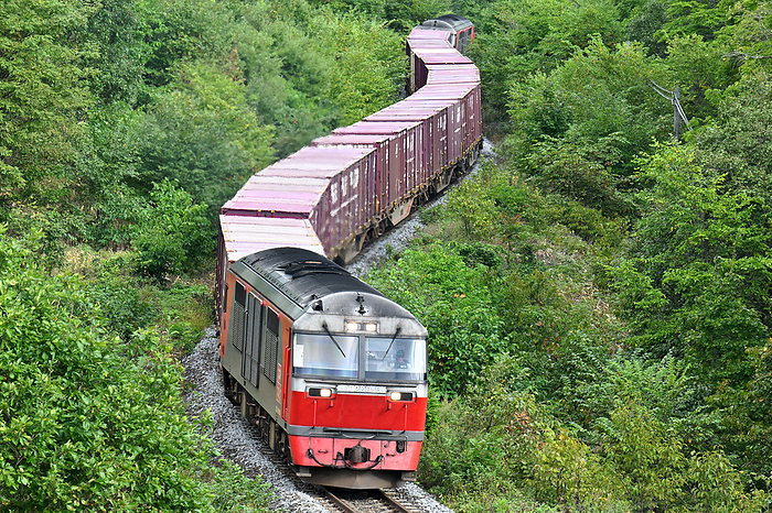 Freight train with DF200 in tow on the Ishihoku Main Line, Hokkaido, Japan, rounding a curve Taken at Ikutawara Station   Nishi Rubeshibetsu Station
