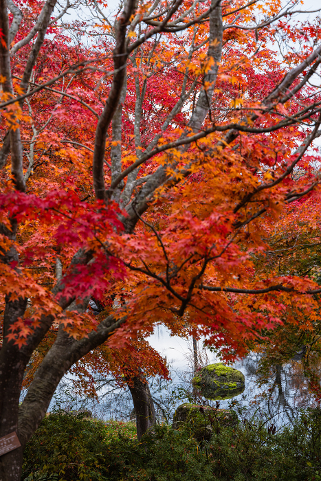 Autumn leaves at Rainbow Lake, Kuroishi City, Aomori Prefecture, Japan