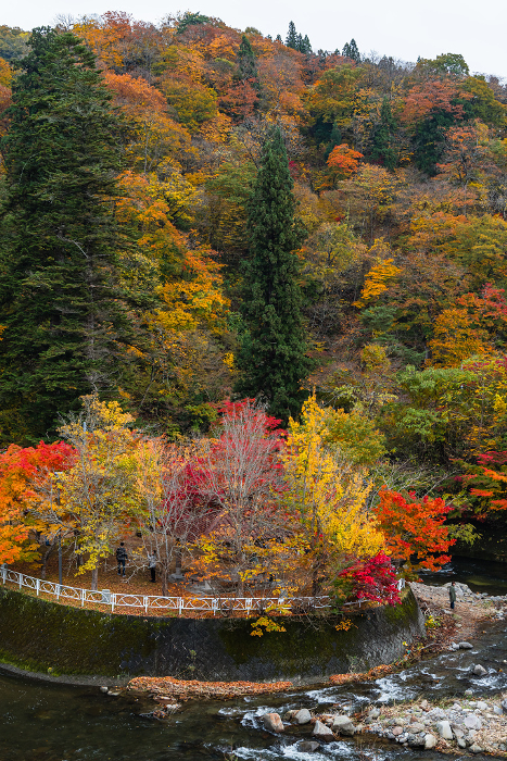 Autumn leaves at Nakano Momijiyama in Kuroishi City, Aomori Prefecture, Japan