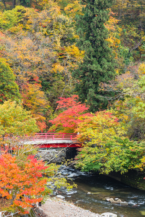 Autumn leaves and Fudo Bridge at Nakano Maple Mountain in Kuroishi, Aomori, Japan
