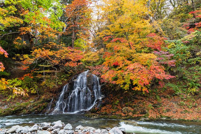 Autumn leaves and Fudo Falls at Nakano Maple Mountain in Kuroishi City, Aomori Prefecture, Japan