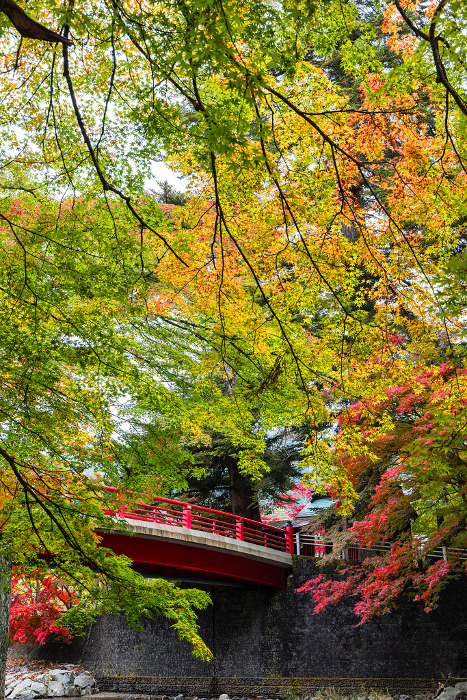 Autumn leaves and Fudo Bridge at Nakano Maple Mountain in Kuroishi, Aomori, Japan