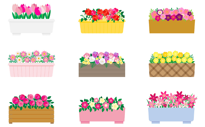 Set of illustrations of pretty pinkish flowers in planters