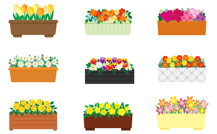 Set of illustrations of pretty yellowish flowers in a planter