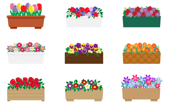 Set of illustrations of pretty red and purple flowers in planters