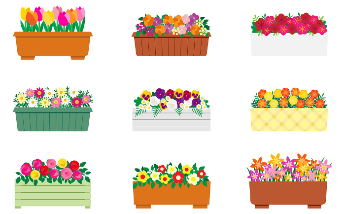 Set of illustrations of lovely colorful flowers in planters
