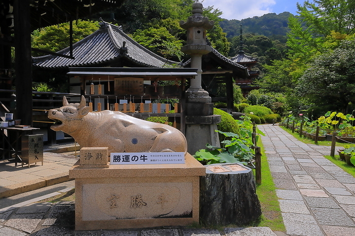 Amida Hall, Belfry and Three-Story Pagoda at Mimuroto-ji Temple, Kyoto