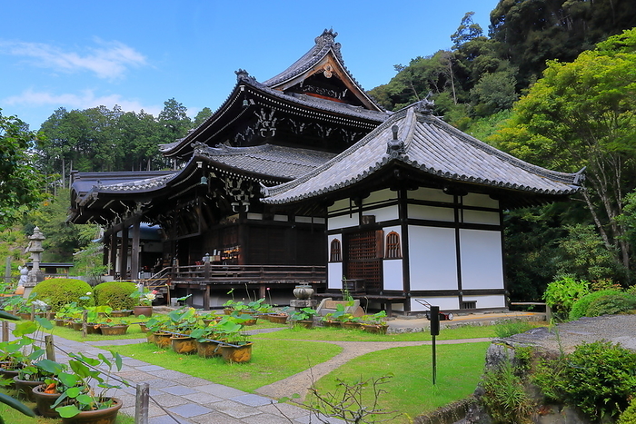 Main Hall and Amida Hall of Mimuroto-ji Temple, Kyoto