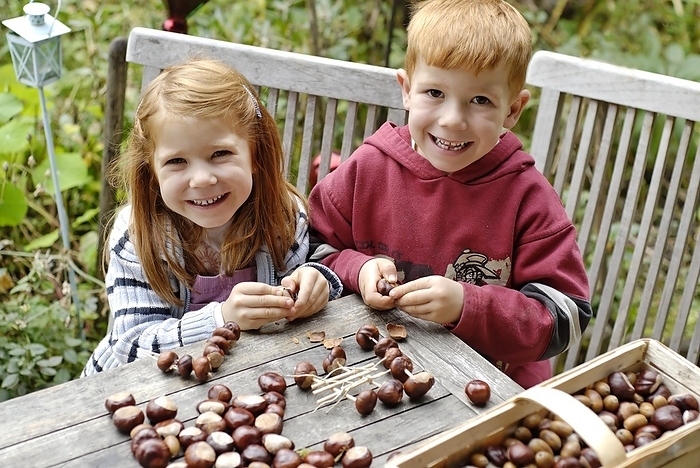 Smiling children Children making crafts out of chestnuts in autumn