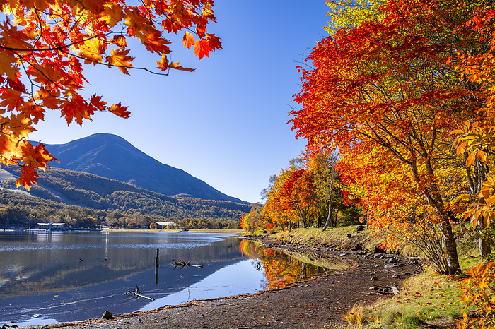 Lake Megami in Autumn, Nagano Prefecture