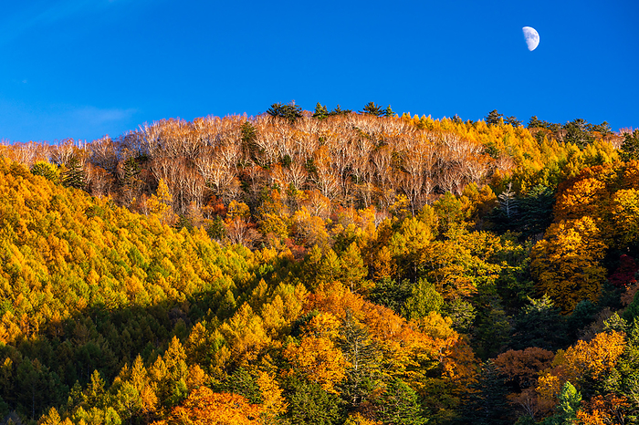 Mountains and Moon in Autumn Leaves, Nagano