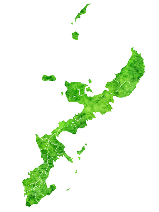 Okinawa Map Green Watercolor Icon