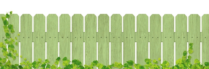 Green wooden fence / ivy / A