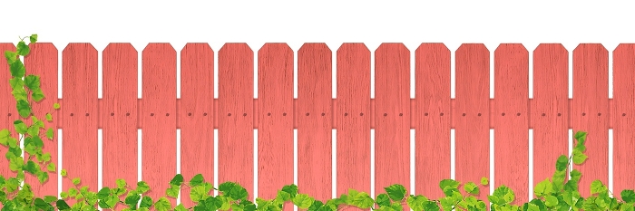 Red wooden fence / ivy / A