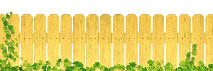 Yellow wooden fence / ivy / A
