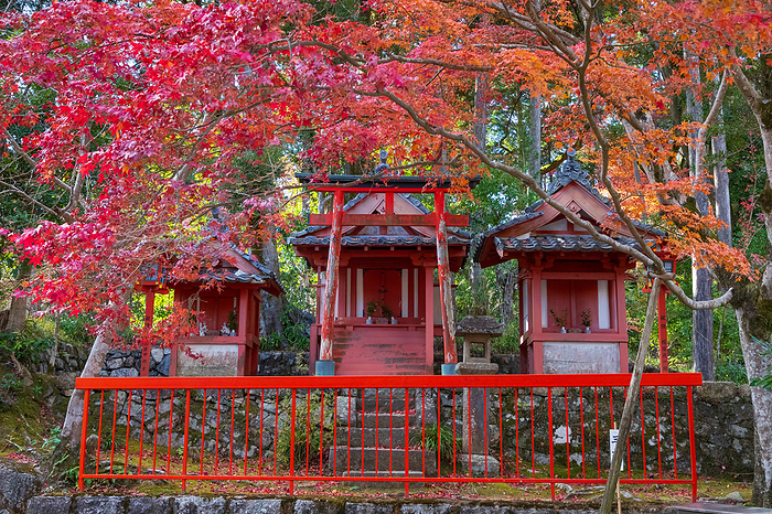 Sanja Myojin, Kaijusan-ji Temple in Autumn Leaves, Kyoto, Japan