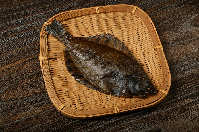 dried flounder