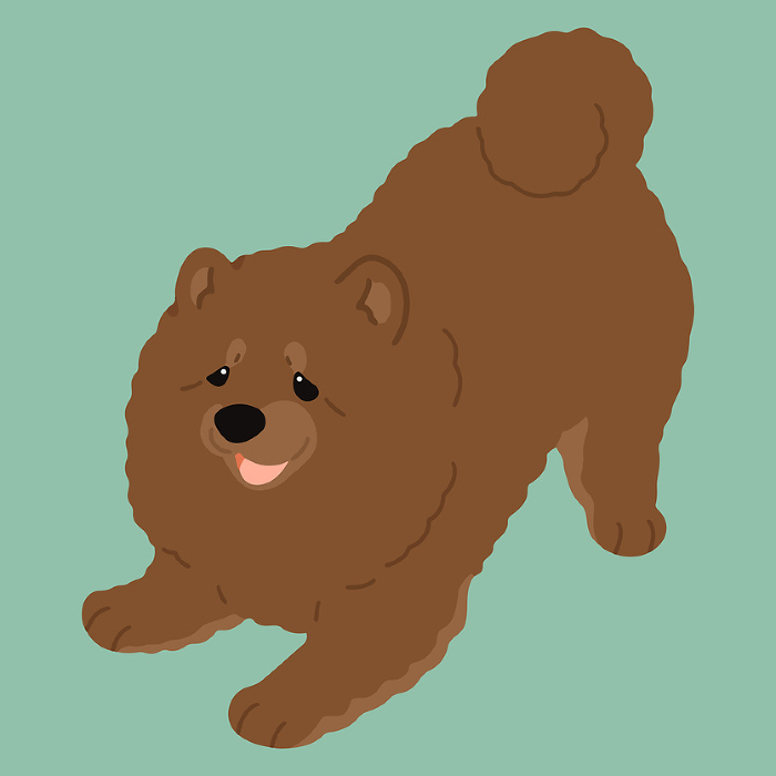 Hand drawn illustration of a simple and cute chow chow inviting you to play, no main line.
