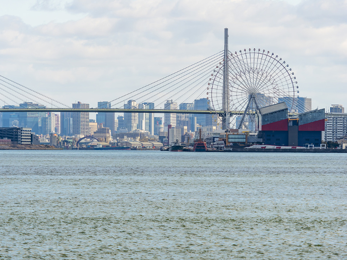 Osaka Port, Tempozan and a view of buildings