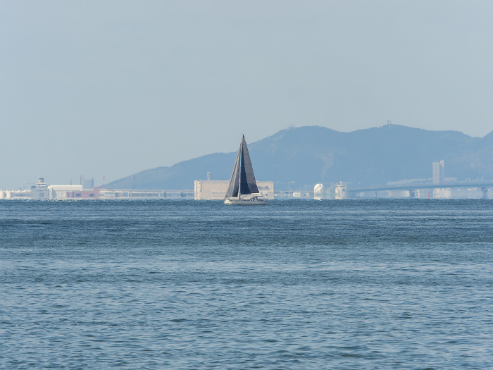 Yacht sailing in Osaka Bay