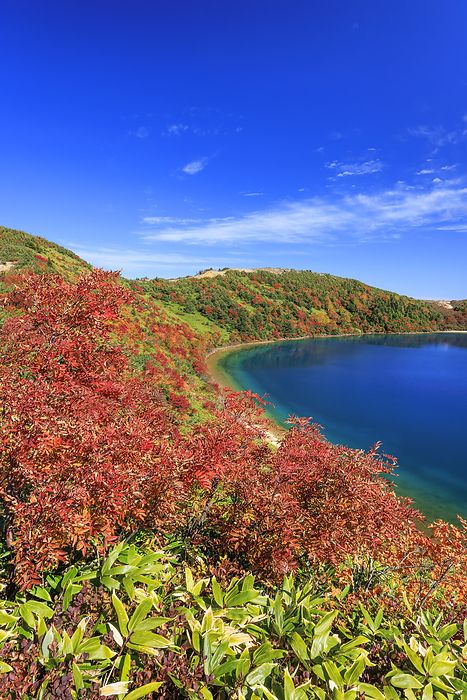 Autumn leaves of Goshikinuma, Fukushima Prefecture