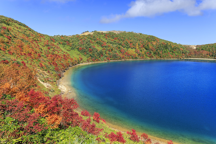 Autumn leaves of Goshikinuma, Fukushima Prefecture