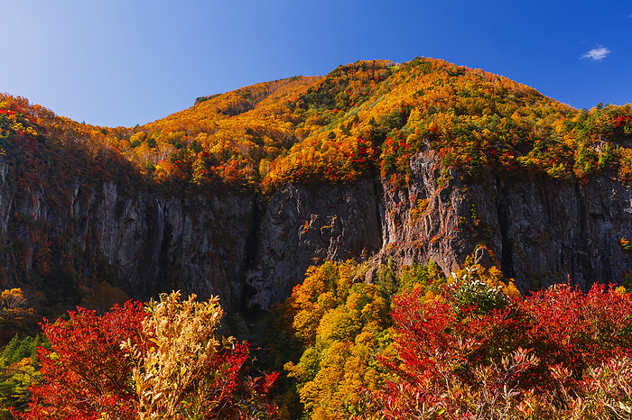 Yonago Grand Falls, Nagano Prefecture Autumn Foliage in Shinshu