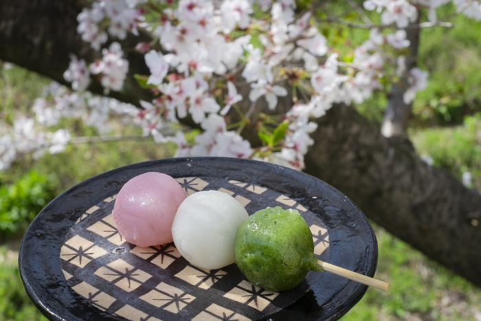 Cherry blossoms and hanami dango