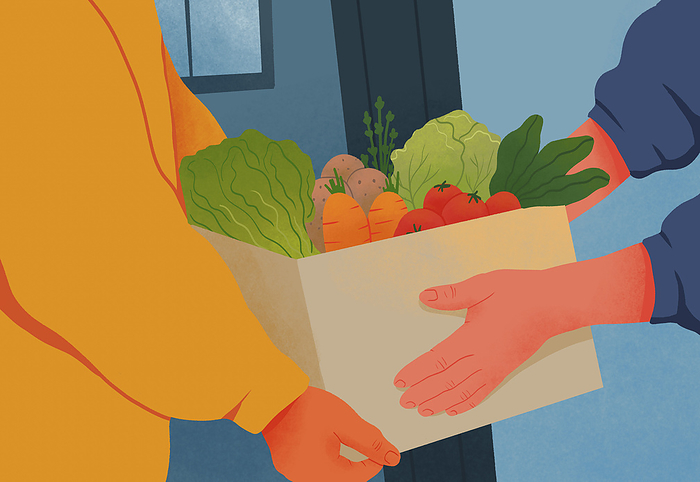 Hands of man delivering box of fresh vegetables at doorway