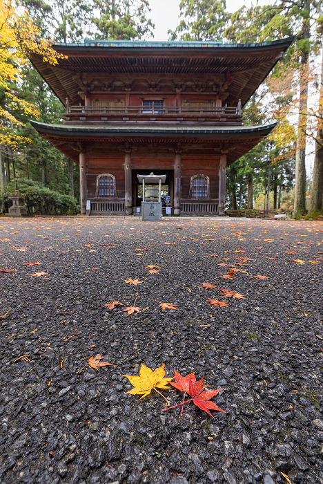 Monjuro and autumn leaves on the east tower of Enryaku-ji Temple in Otsu City, Shiga Prefecture, Japan