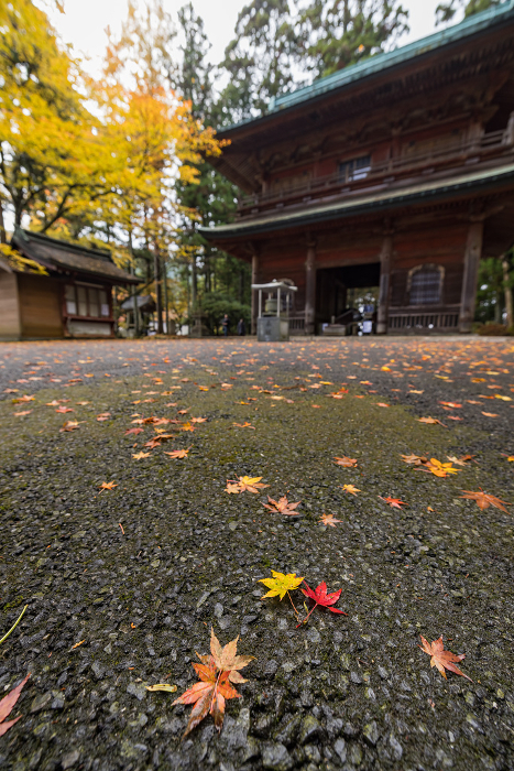 Monjuro and autumn leaves on the east tower of Enryaku-ji Temple in Otsu City, Shiga Prefecture, Japan