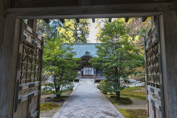 Jodoin (West Pagoda) of Enryakuji Temple in Otsu City, Shiga Prefecture, Japan and autumn leaves