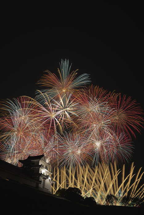 Ibaraki Tonegawa Grand Fireworks Festival Music Starmine