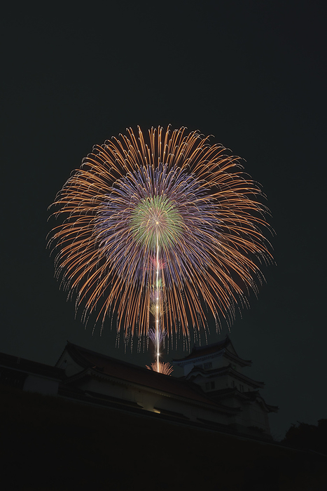 Ibaraki Prefecture Tonegawa Grand Fireworks Festival Shakudama